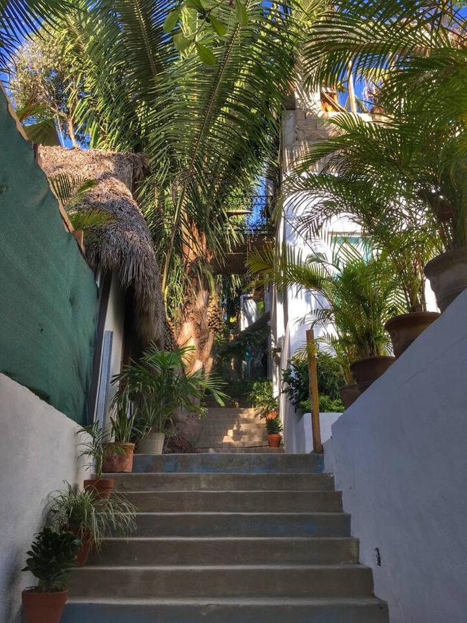 Вилла Palapa Chili # Саюлита Экстерьер фото