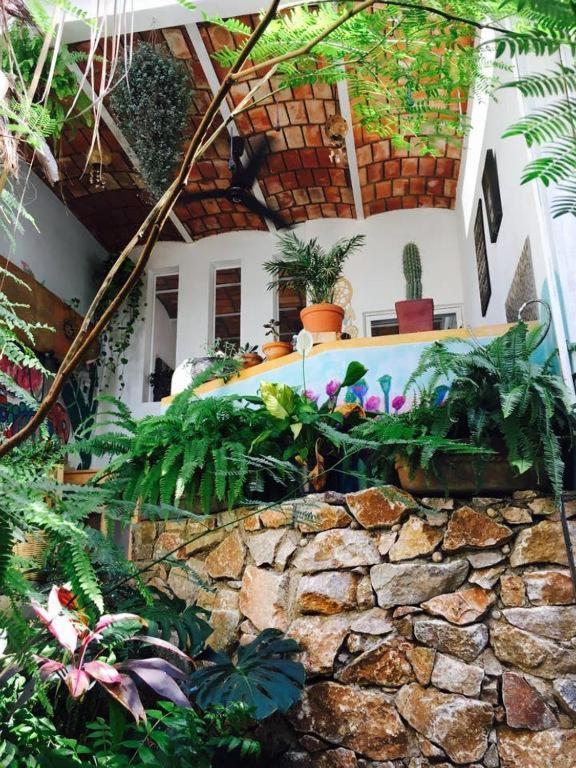 Вилла Palapa Chili # Саюлита Экстерьер фото