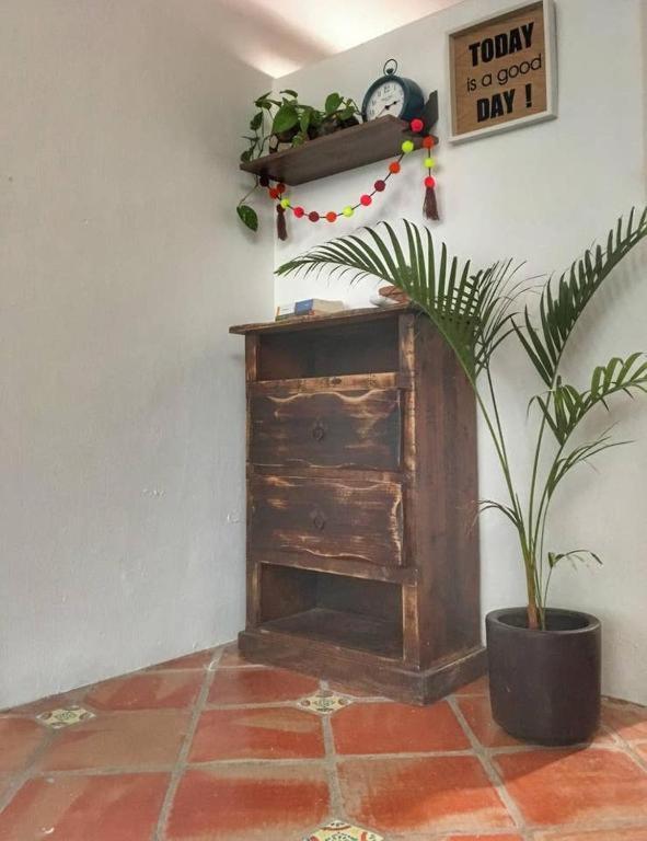 Вилла Palapa Chili # Саюлита Экстерьер фото